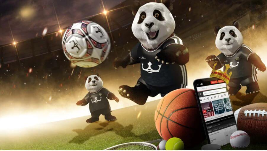 Royal Panda esportes