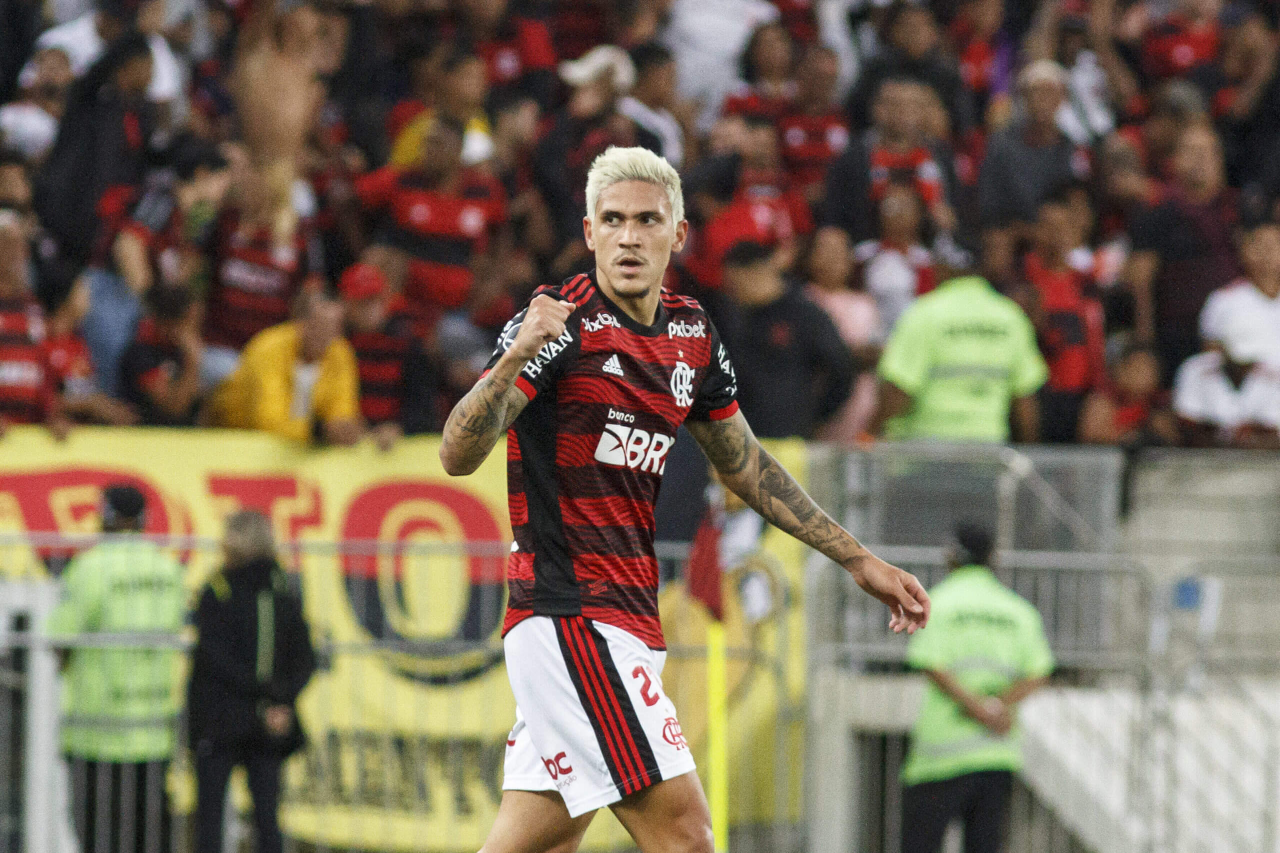 Pedro marcou o terceiro gol do Flamengo no jogo