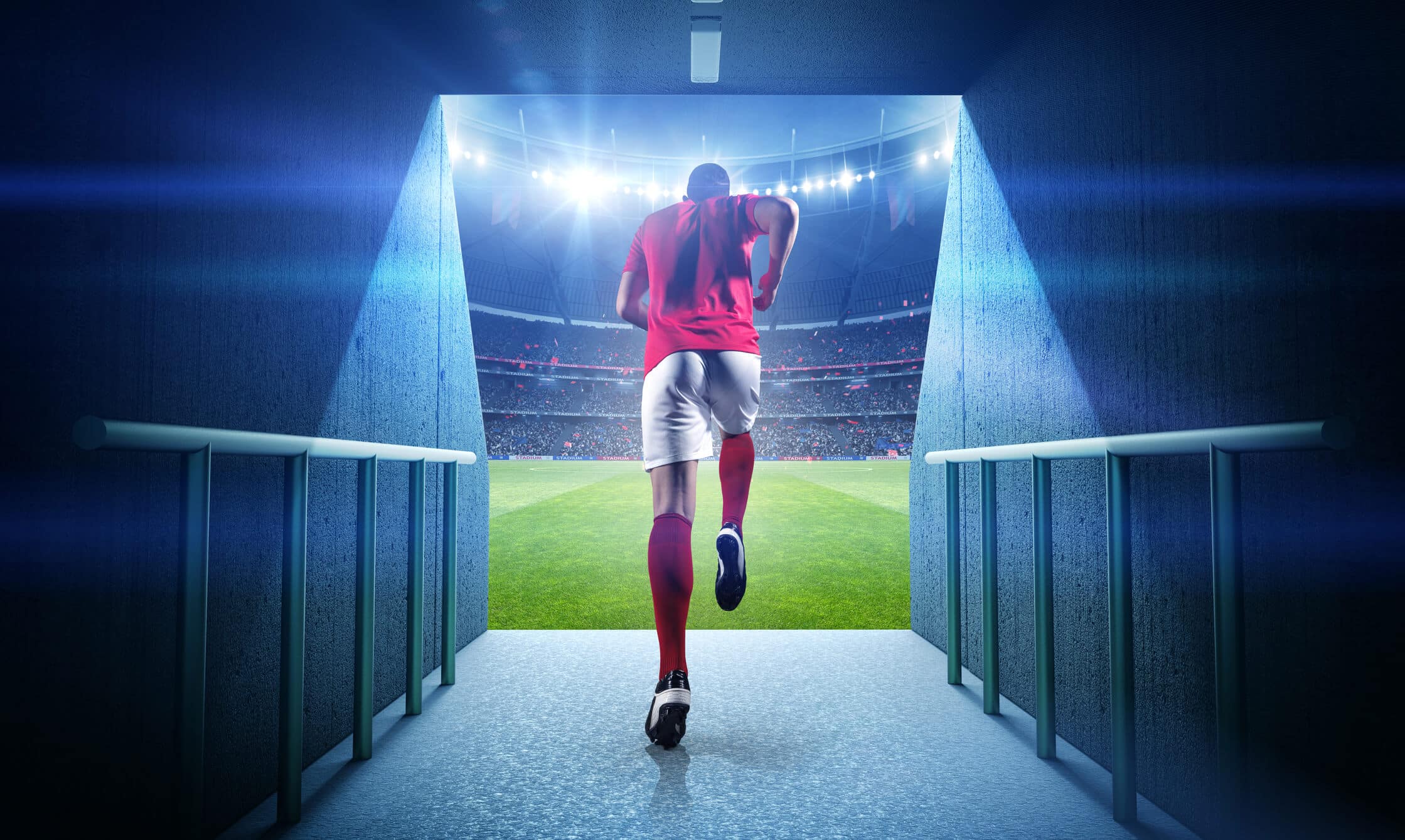 Odds Brasileirão : favoritos ao título da Série A