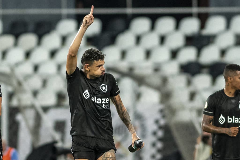 Tiquinho Soares celebra gol do Botafogo