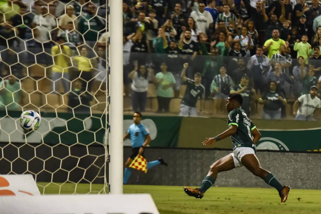 Palmeiras, de Endrick, colou no Botafogo