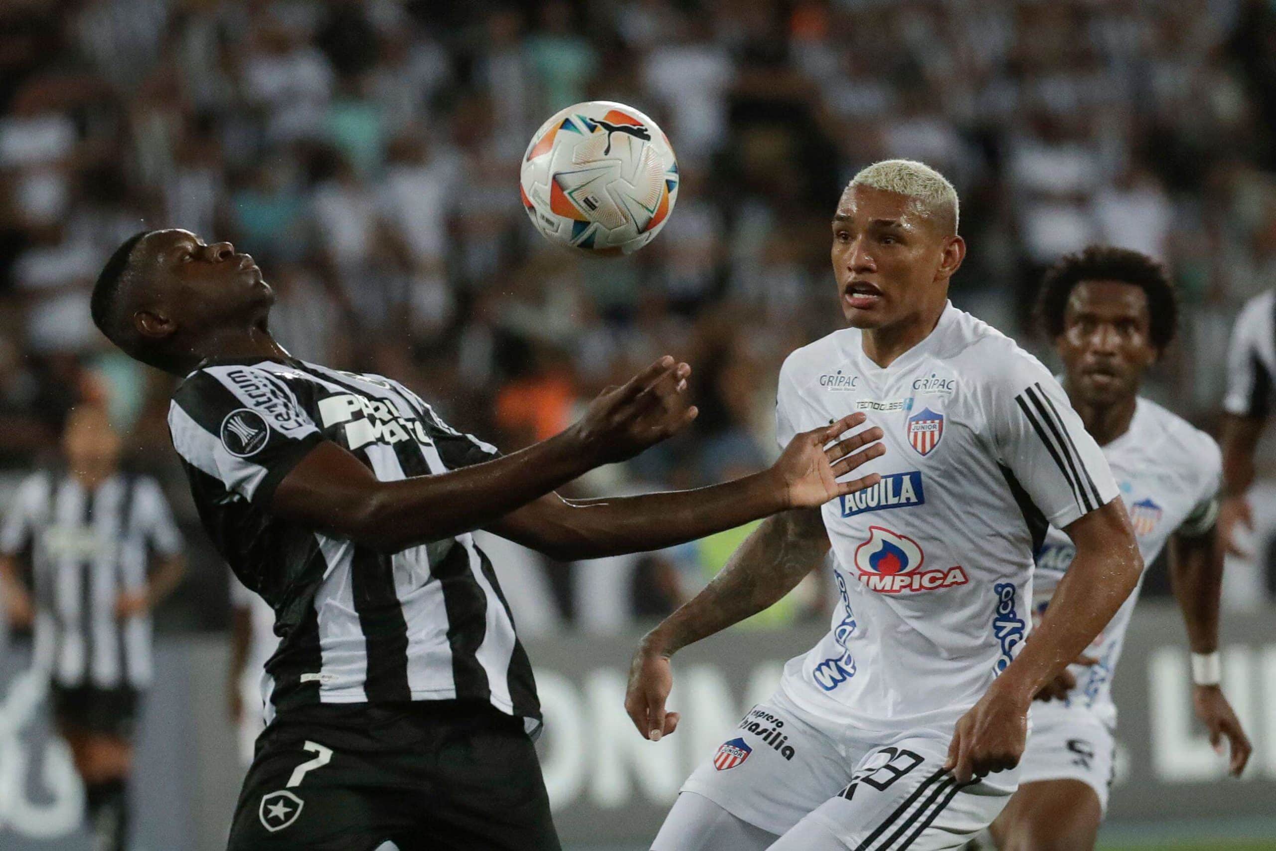 Palpite Universitario x Botafogo – Copa Libertadores – 16/05/2024