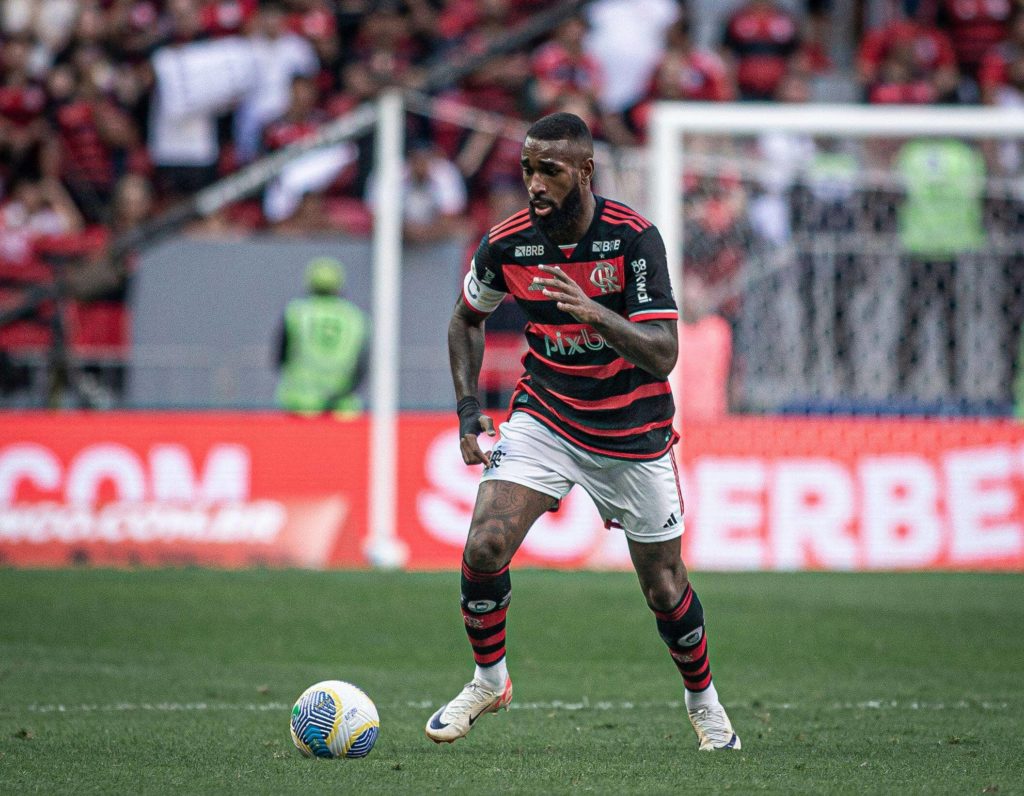Palmeiras - julho - 2024