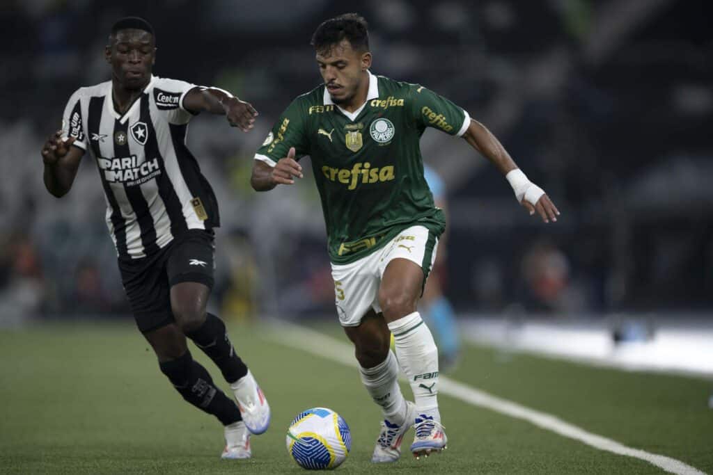 palpite-botafogo-x-palmeiras-libertadores-14-08-2024