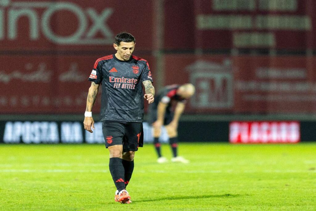 Palpite Benfica x Estoril - Campeonato Português