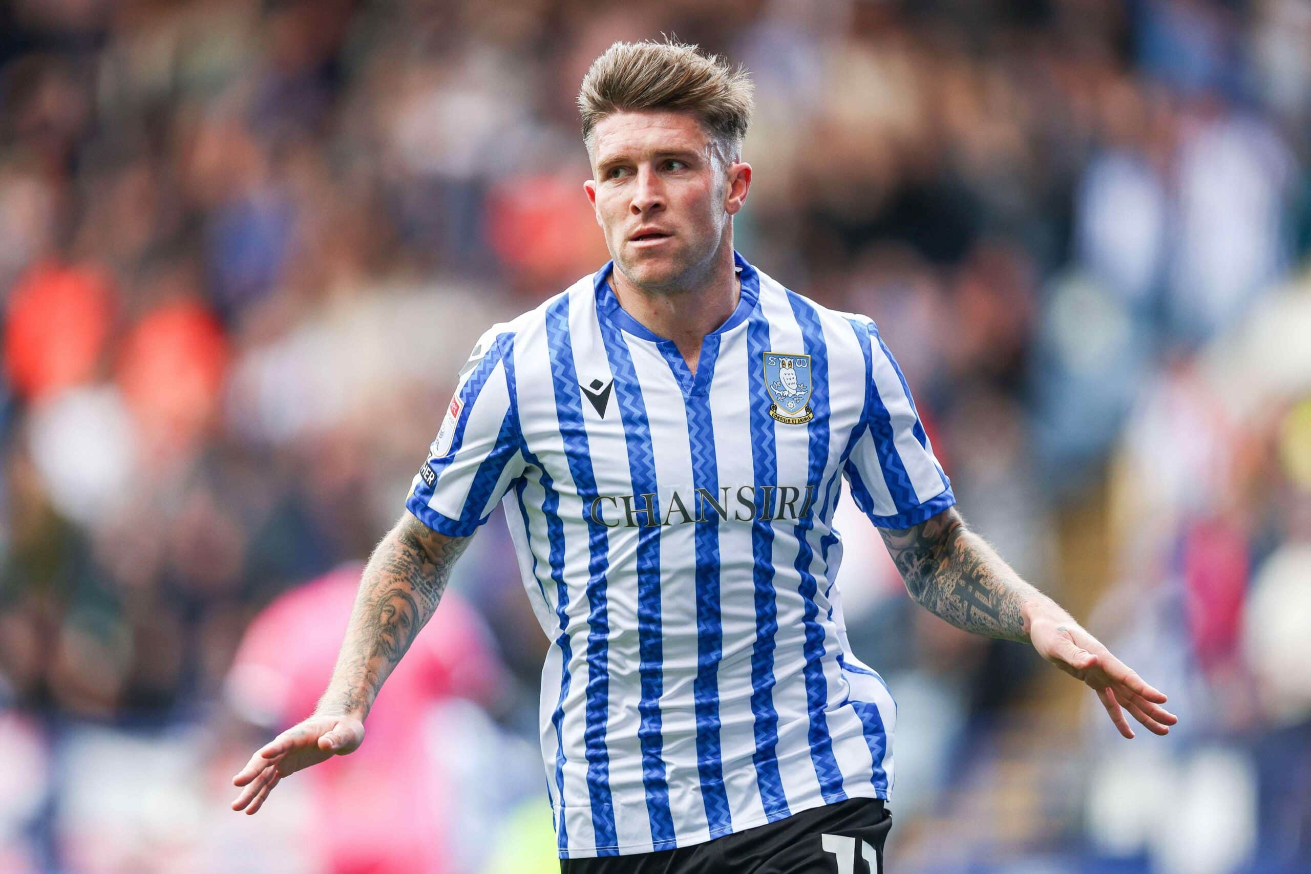 Josh Windass em ação pelo Sheffield Wednesday